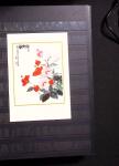 1878-2019, Collection of China in 35 albums and 5 folders