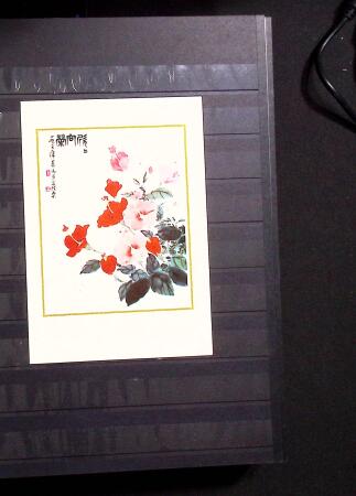 1878-2019, Collection of China in 35 albums and 5 folders