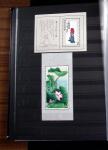 1878-2019, Collection of China in 35 albums and 5 folders