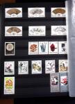 1878-2019, Collection of China in 35 albums and 5 folders