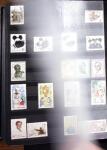 1878-2019, Collection of China in 35 albums and 5 folders