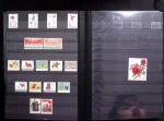 1878-2019, Collection of China in 35 albums and 5 folders