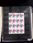 1878-2019, Collection of China in 35 albums and 5 folders