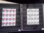 1878-2019, Collection of China in 35 albums and 5 folders