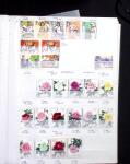 1878-2019, Collection of China in 35 albums and 5 folders