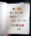 1850-1920, Mint and used collection of Austria on pages