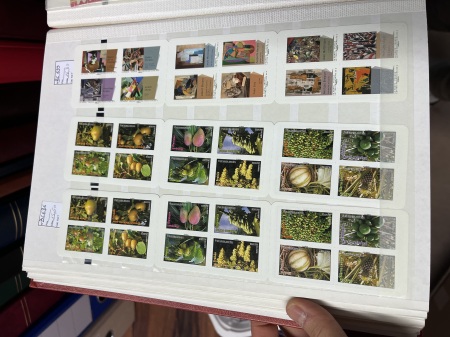 1939-2016 Collection de neuf (qq oblitérés avant)