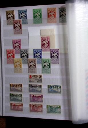 1892-1950 Collection surtout de neufs d'Afrique en 3