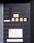 1849-1900 Très belle collection de classiques de France