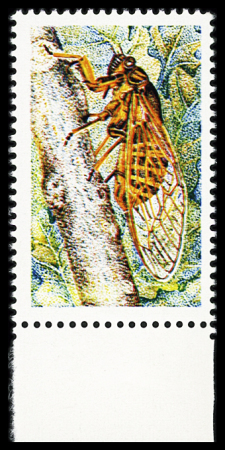 N°1946b Cigale, variété inscriptions omises, bdf,