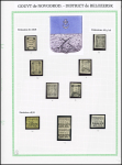 1868-1919, Mint & used collection mounted on nine exhibition