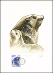 TAAF. 16 documents philatéliques sur velin d'Arches (tirage entre 950 et 1500) avec signatures des graveurs (Béquet, Andreotto, etc…), la plupart AFF timbres concrdants OBL 1er jour d'utilisation (période 1980 - 198