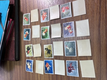 1878-2019, Collection of China in 35 albums and 5 folders