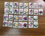 1878-2019, Collection of China in 35 albums and 5 folders