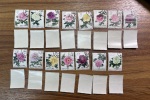 1878-2019, Collection of China in 35 albums and 5 folders