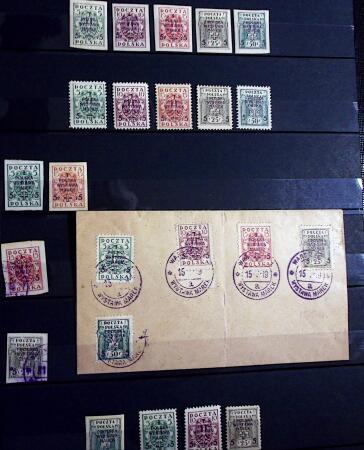 1918-45, Fascinating collection of Poland in one stockbook