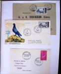 1955-1959 Classeur blanc, contenant environs 400 plis,