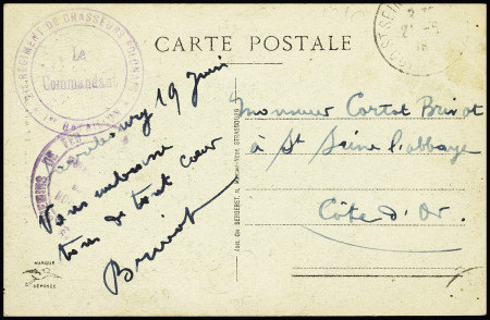 Carte postale en franchise de Sarrebourg (1919) avec cachet violet "21e régiment de chasseurs polonais - 1er bataillon - le commandant". TB