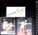 BADMINTON: Specialised collection in four deluxe albums with vignettes, cancellations, postcards, etc. very fine