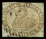 1854-1980, Specialised selection on the theme "Birds"