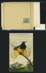 1880-1985, Birds thematics selection of 11 covers and