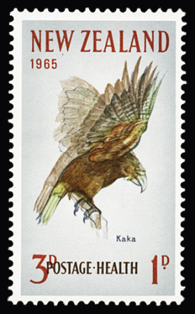 1871-1990, Attractive birds-topic selection of 300