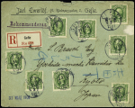 1891-1913 5ö green (x8) tied by Gefle cds to 1901 registered