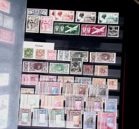 1885-1945, Collection de colonies ainsi que ex-colonies
