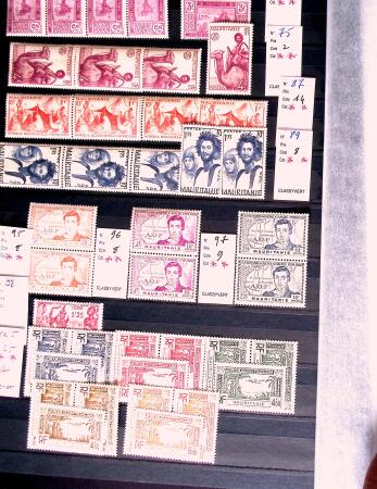 1910-2007, Collection de colonies en un grand classeur