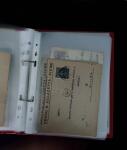 1784-1924, Fascinating holding of Fiume in 8 stockbooks