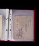 1784-1924, Fascinating holding of Fiume in 8 stockbooks