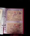 1784-1924, Fascinating holding of Fiume in 8 stockbooks