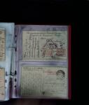 1784-1924, Fascinating holding of Fiume in 8 stockbooks
