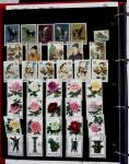 1895-1970 Mint and used collection of China in one