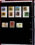 1895-1970 Mint and used collection of China in one