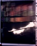 1860-1990, All World collection in two stockbooks with