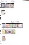 1850-2000 41 gros classeurs d'une collection mondialiste