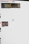 1850-2000 41 gros classeurs d'une collection mondialiste