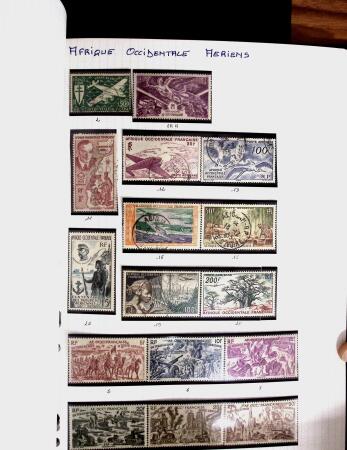 1850-2000 41 gros classeurs d'une collection mondialiste