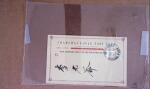 1892-1909 ASIA: Lot of seven covers from China, German
