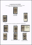N°15A et 15, Ensemble sur 3 pages : 1 timbre N° 15A, 1 ND, 46 timbres N° 15 dont : surch. déplacée, 65o au lieu de 65c, ND, barre inférieure épaisse , double surch. des barres, 2 blocs de 4 avec double surch. des