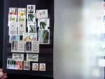 1919-2002, Attractive collection of Poland mounted
