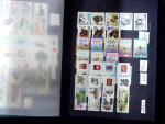 1919-2002, Attractive collection of Poland mounted