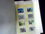 1919-2002, Attractive collection of Poland mounted
