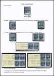 N°42/42A Ensemble sur 2 pages de 20 timbres dont N° 42 avec 2 surélevé, 42A 2 surélevétenant à normal, 2 surélevé avec 3 barres tenant à normal, 2 blocs de 4 avec surch. décalées ou non décalées, erreur 2f