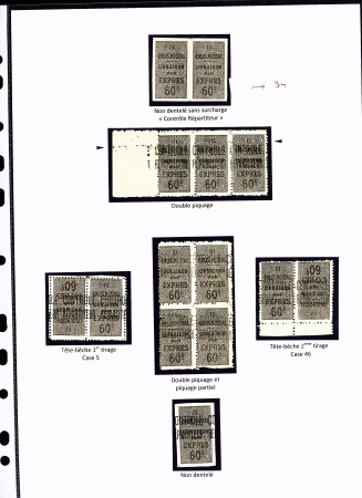 N°9 Ensemble sur 2 pages de 23 timbres dont : surch. verticale , surch. renversée sur paire, ND entre 2 timbres, ND sans surch. « C.R. » bande horizontale de 3 avec double piquage, tête-bêche 1er tirage , tête-bê