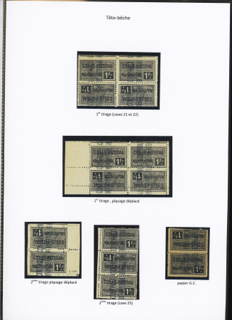 N°14, Ensemble sur 3 pages de 86 timbres, papier G.C., 2 point sous Fr., virgule sous Fr., ND bord de feuille, double piquage, etc, tête-bêche 1er tirage, T.B. 1er tirage piquage déplacé, 2eme tirage, 2eme tirage pi