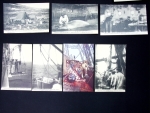 Le Prince Albert 1er de Monaco organise 3 expéditions au Spitzberg à bord du yacht Princesse Alice : 47 cartes postales et 2 photos du Prince Albert 1er et de la Princesse Alice de Monaco. TB