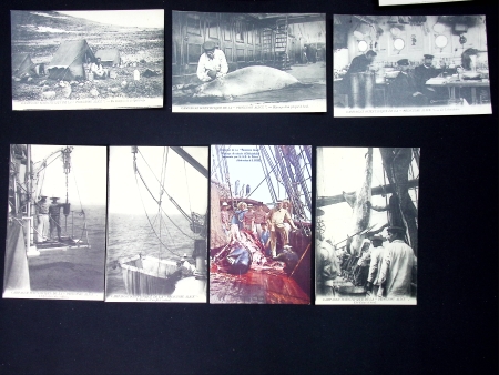 Le Prince Albert 1er de Monaco organise 3 expéditions au Spitzberg à bord du yacht Princesse Alice : 47 cartes postales et 2 photos du Prince Albert 1er et de la Princesse Alice de Monaco. TB