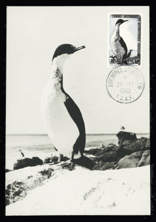 6 plis divers Kerguelen dont TAAF n°12 OBL sur carte maximum et 3 FDC AFF TAAF n°18. TB